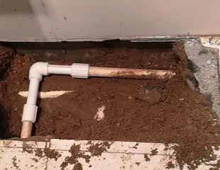 正阳测漏水哪家好