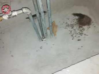 正阳卫生间测漏水价格明细