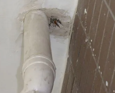 正阳漏水检测哪家好